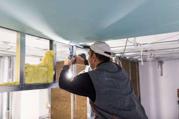 Best Geographic-Specific Insulation Services in Shandon, CA