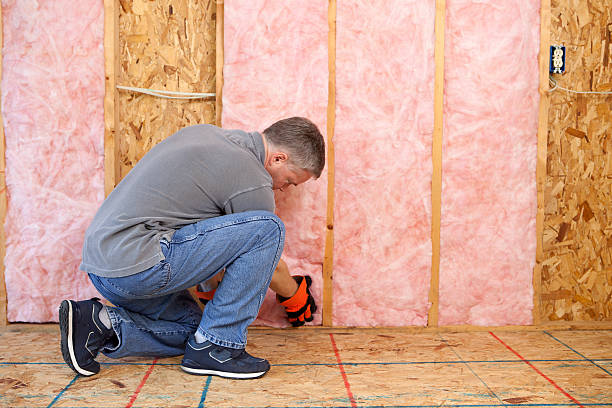Best Eco-Friendly Insulation in Shandon, CA